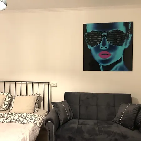 Ally's Urban Cozy Juhkentali 42 Near Centre Airport Next To Bus Station Apartment