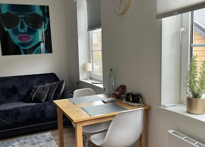 Apartman Ally's Urban Cozy Juhkentali 42 Near Centre Airport Next To Bus Station *