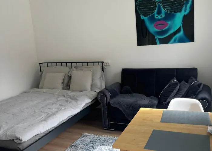 Daire Ally's Urban Cozy Juhkentali 42 Near Centre Airport Next To Bus Station Tallinn